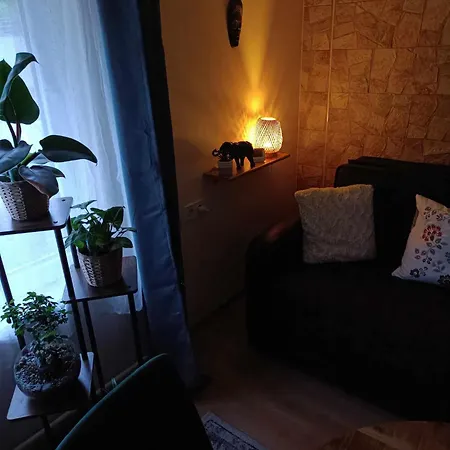 Lelekzug Matra Daire *
